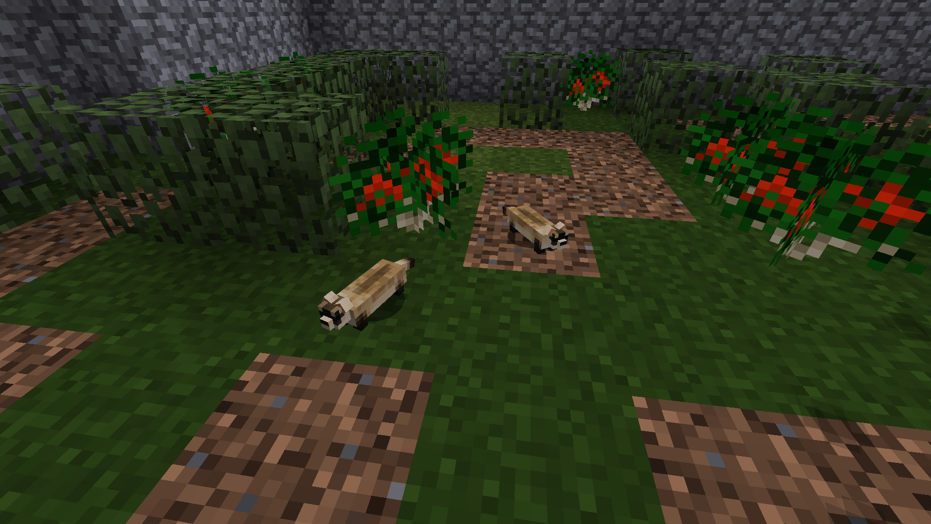 Thumbnail Black-Footed Ferret
