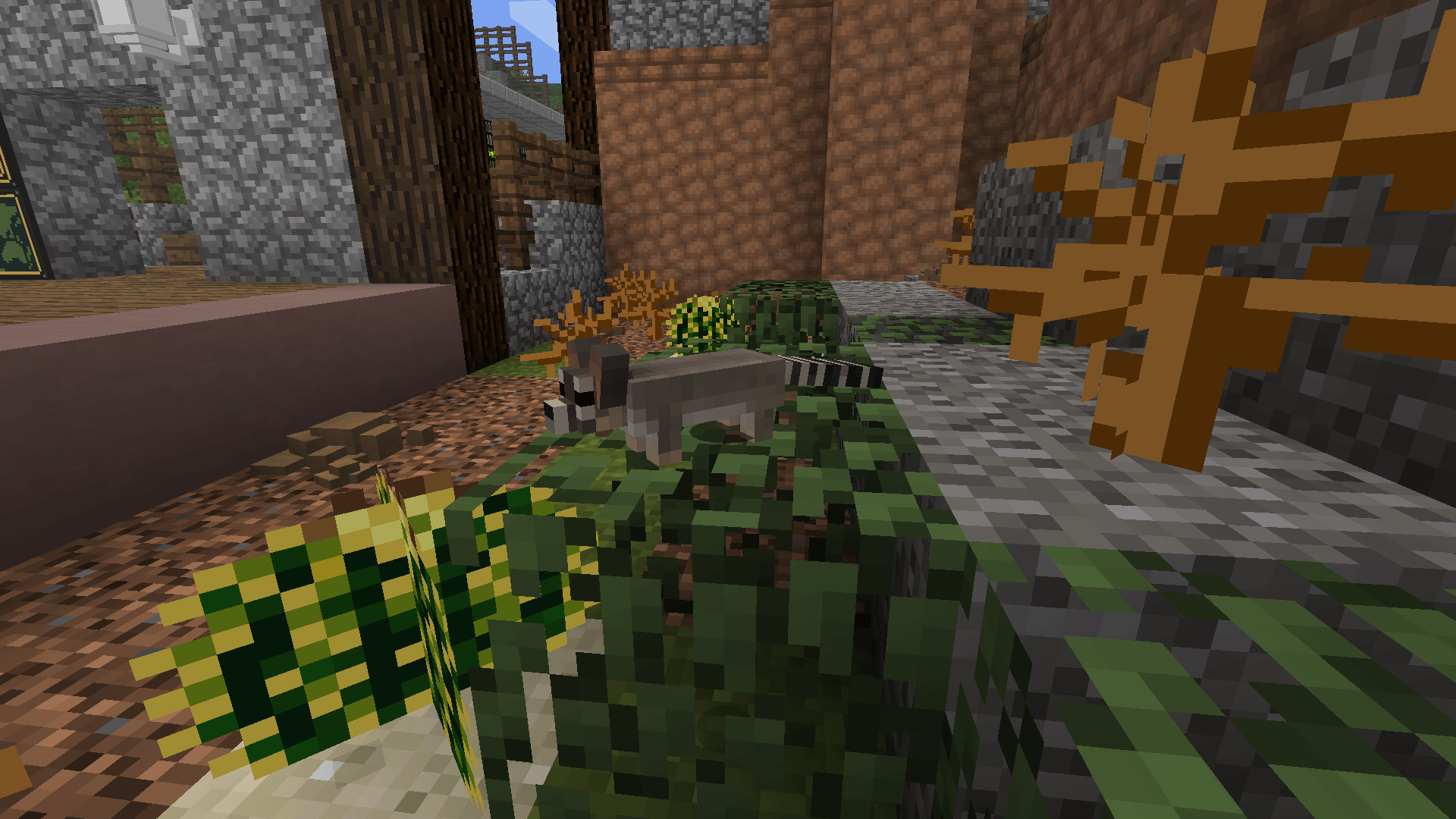 Thumbnail Ringtail