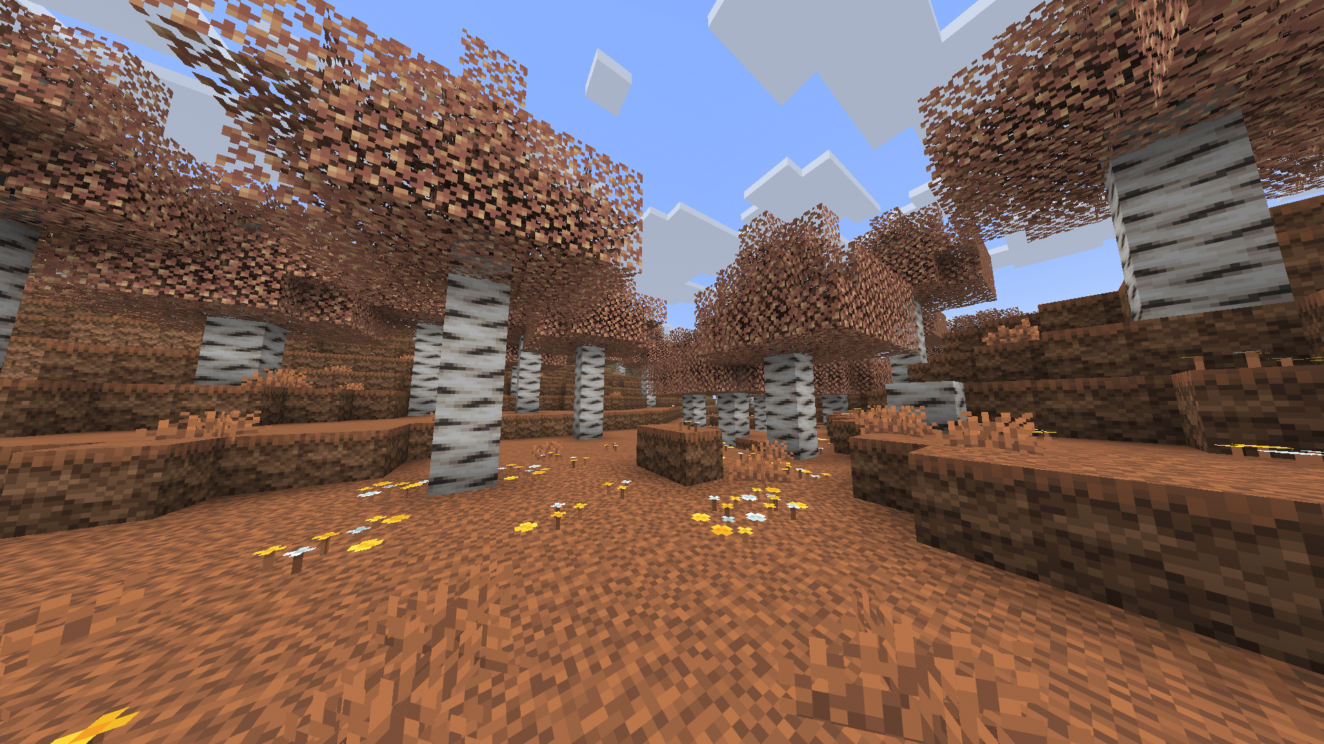 Birch forest biome color