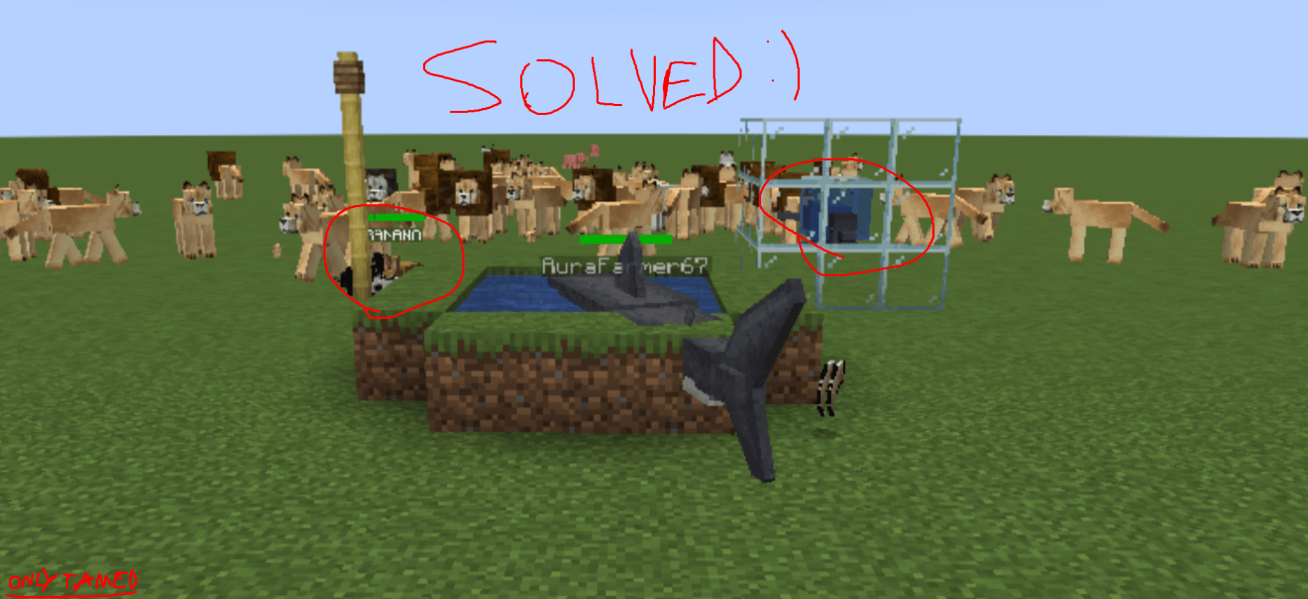 2image.png