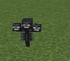 Tiny wither