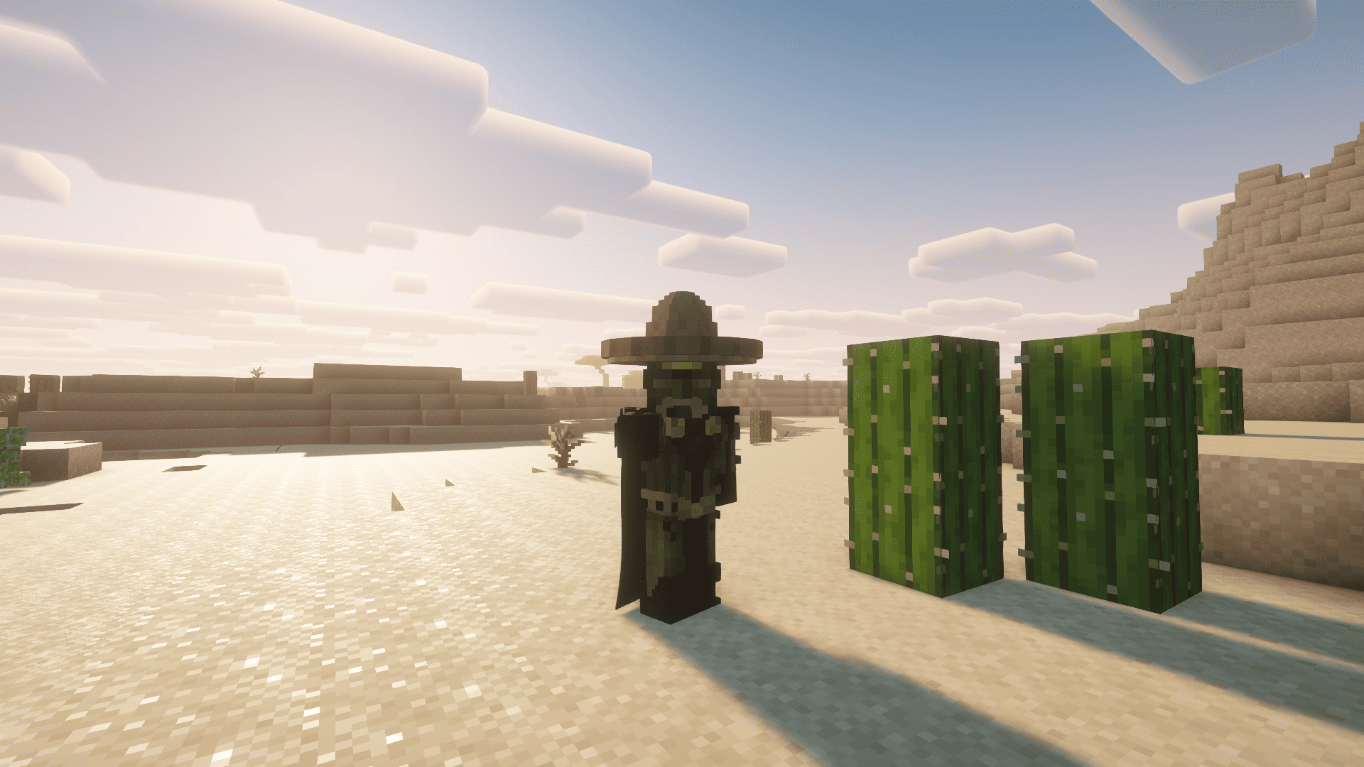 senior cactus.png