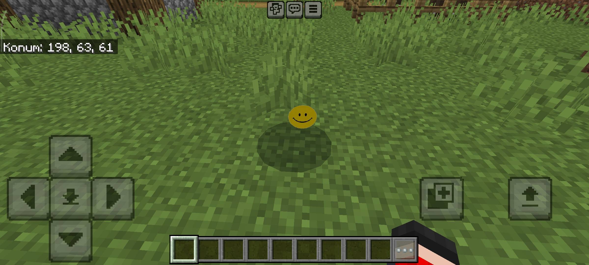 Burki's Verity - super optimized — screenshot 5