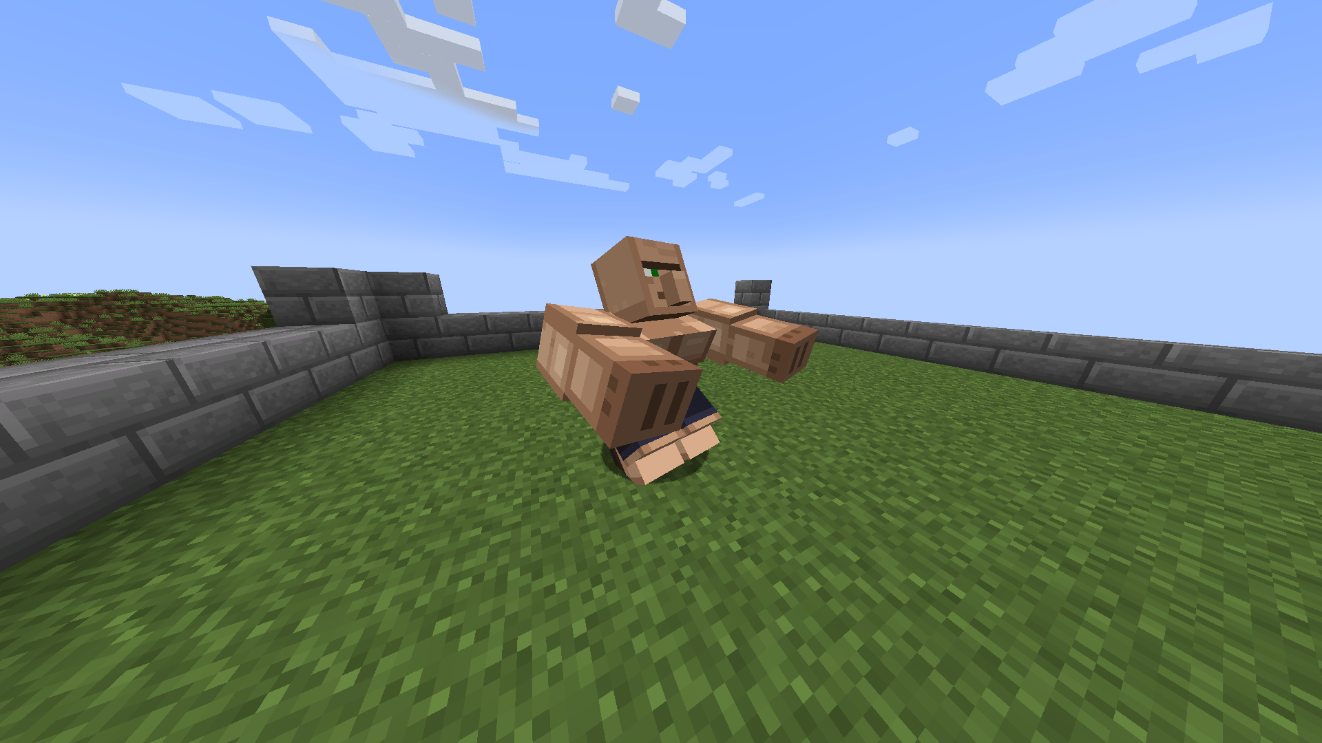 sport