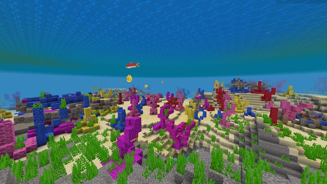 1000704071.jpg