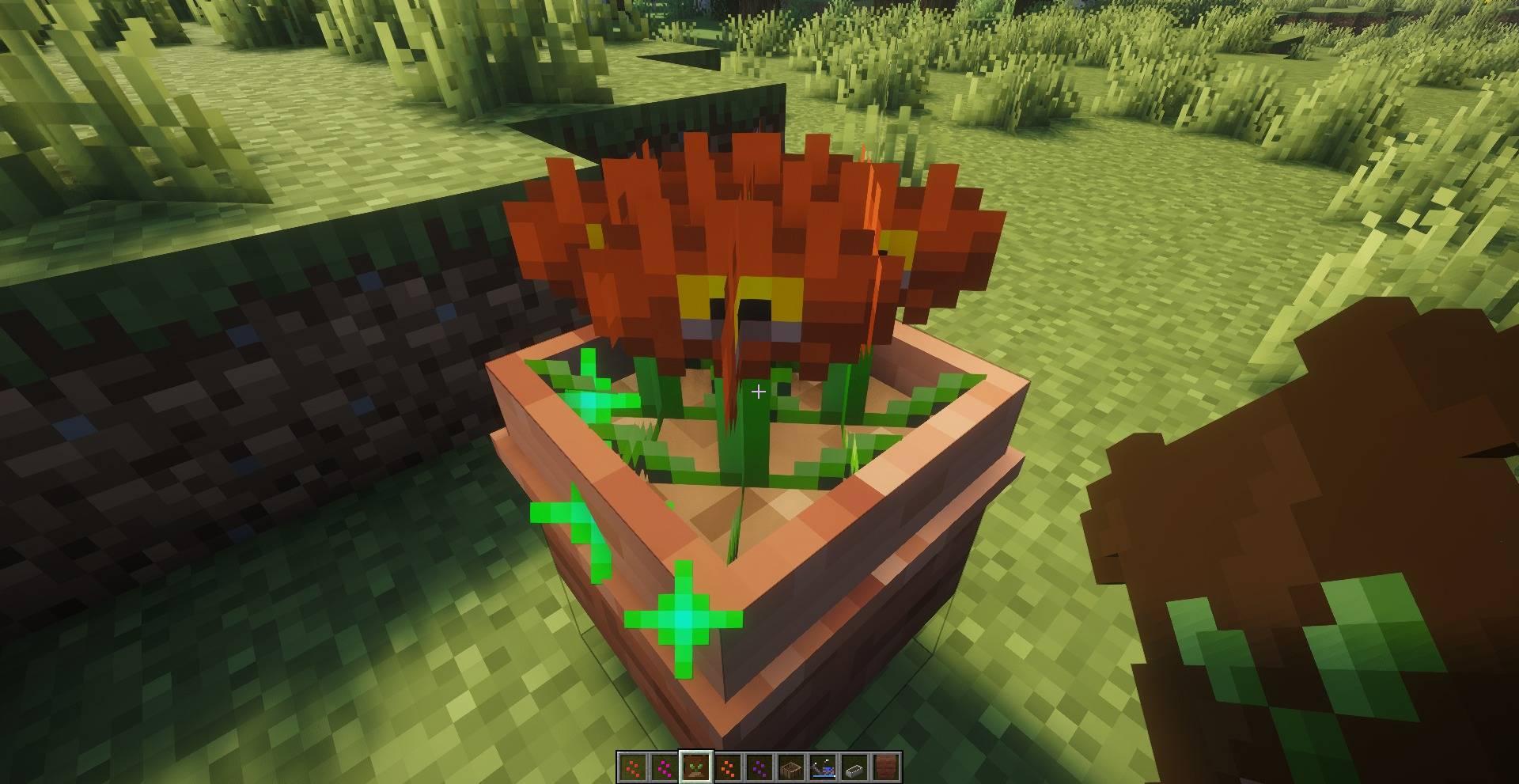 pots_and_petals_06.jpg