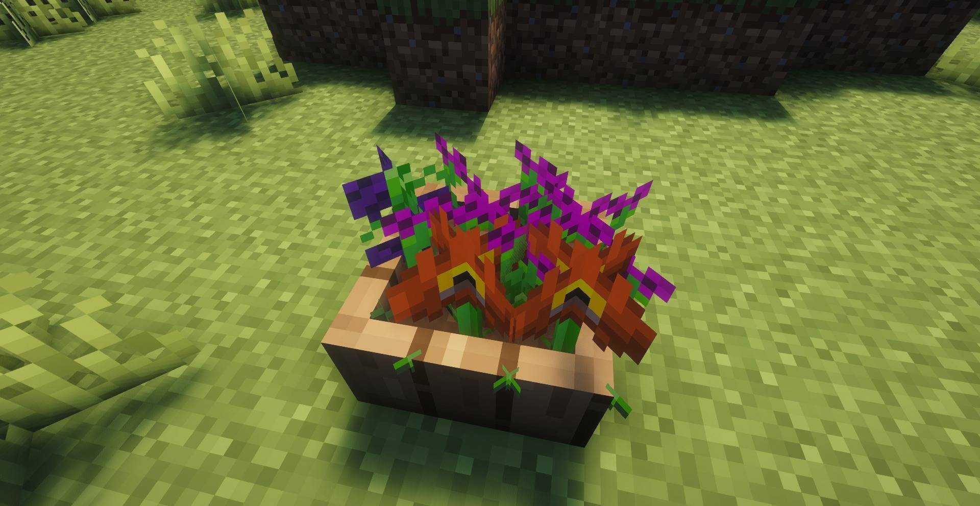 pots_and_petals_05.jpg