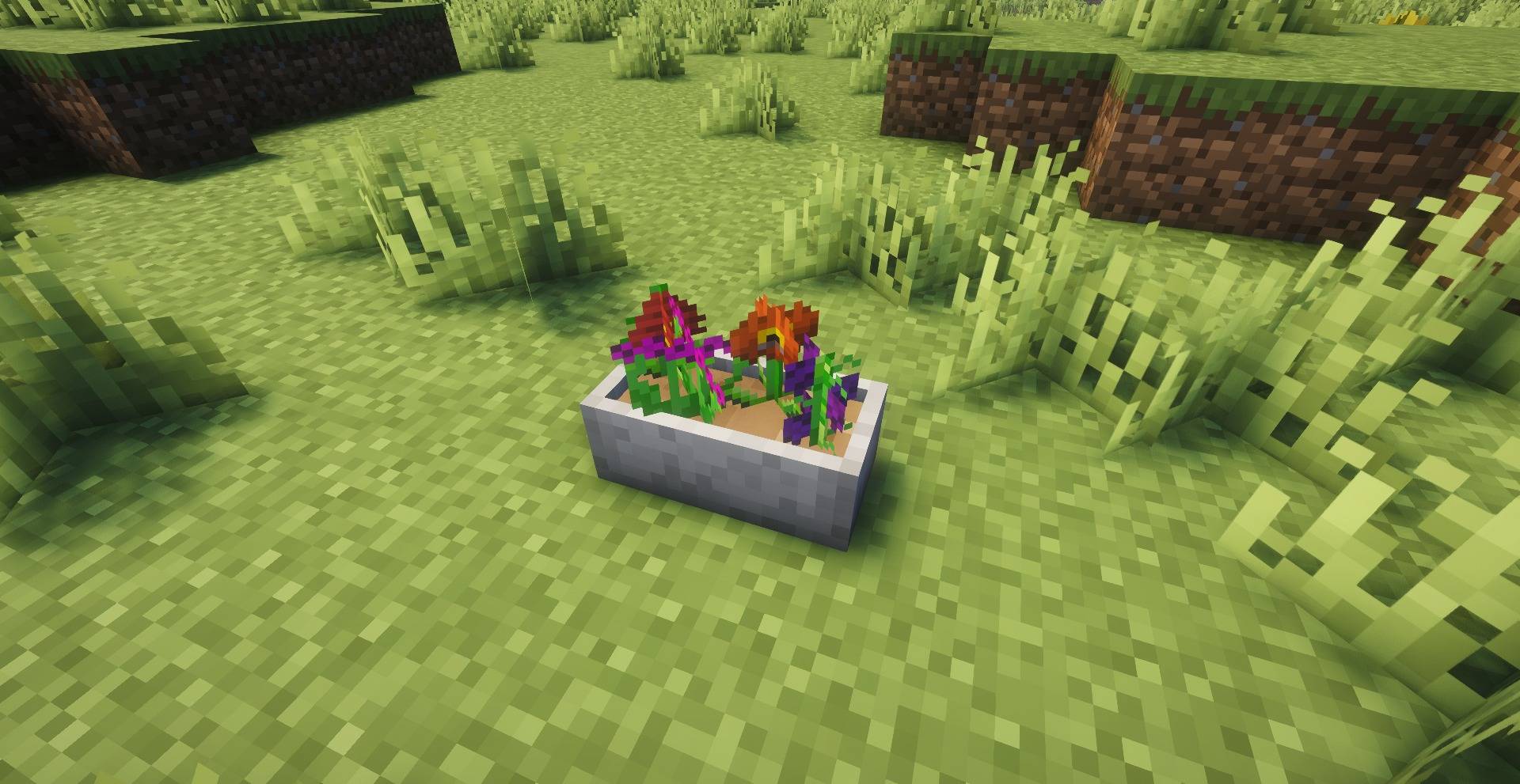 pots_and_petals_04.jpg