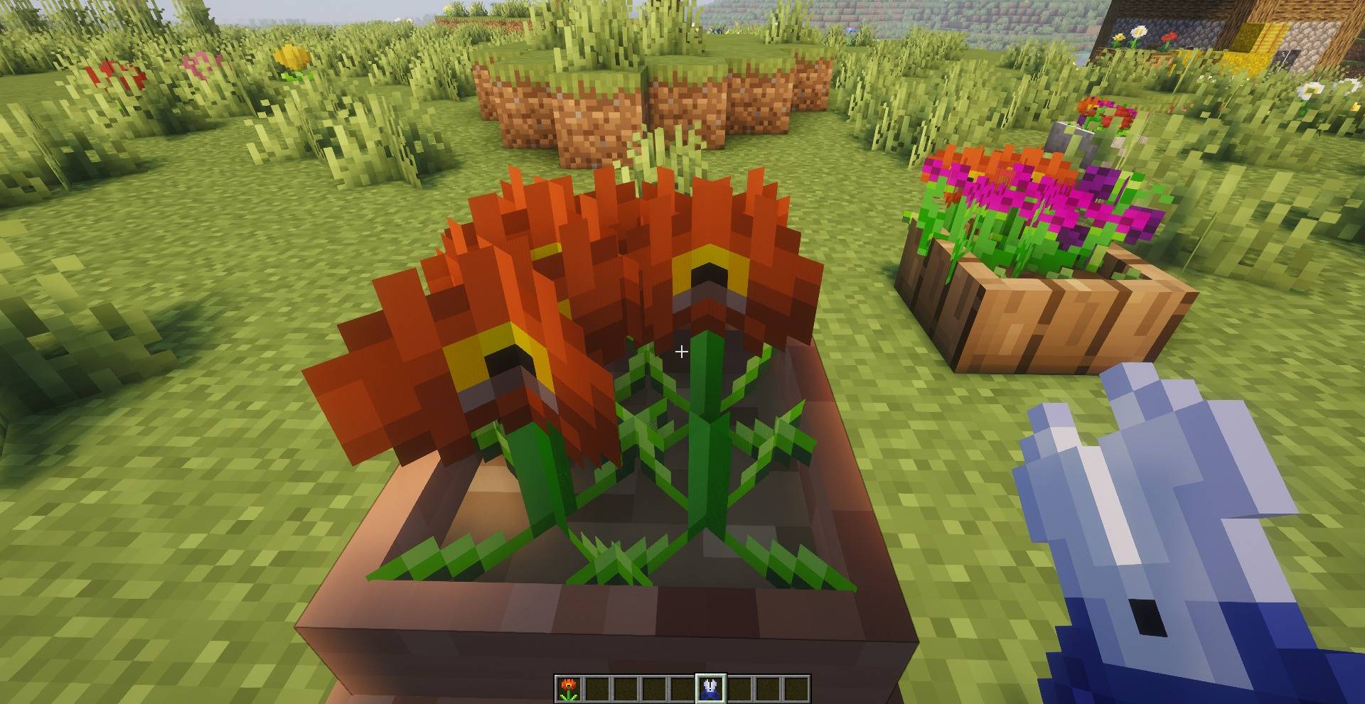 pots_and_petals_02.jpg