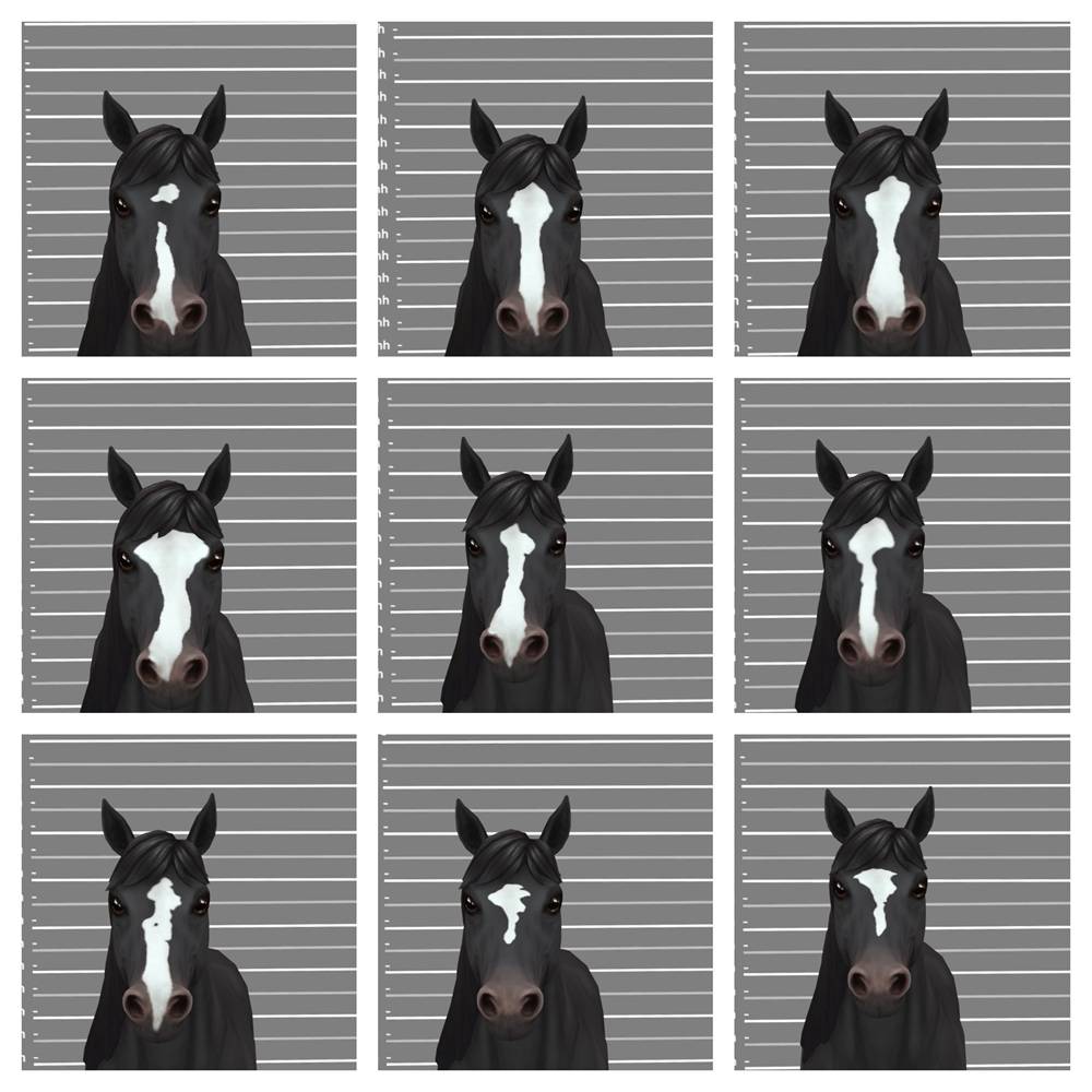 More Face Markings 1.jpg