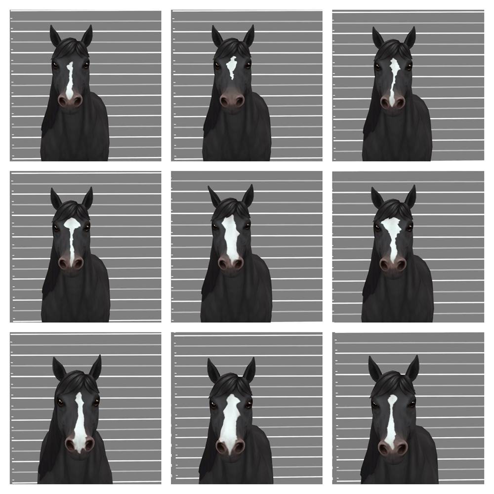 More Face Markings 2.jpg