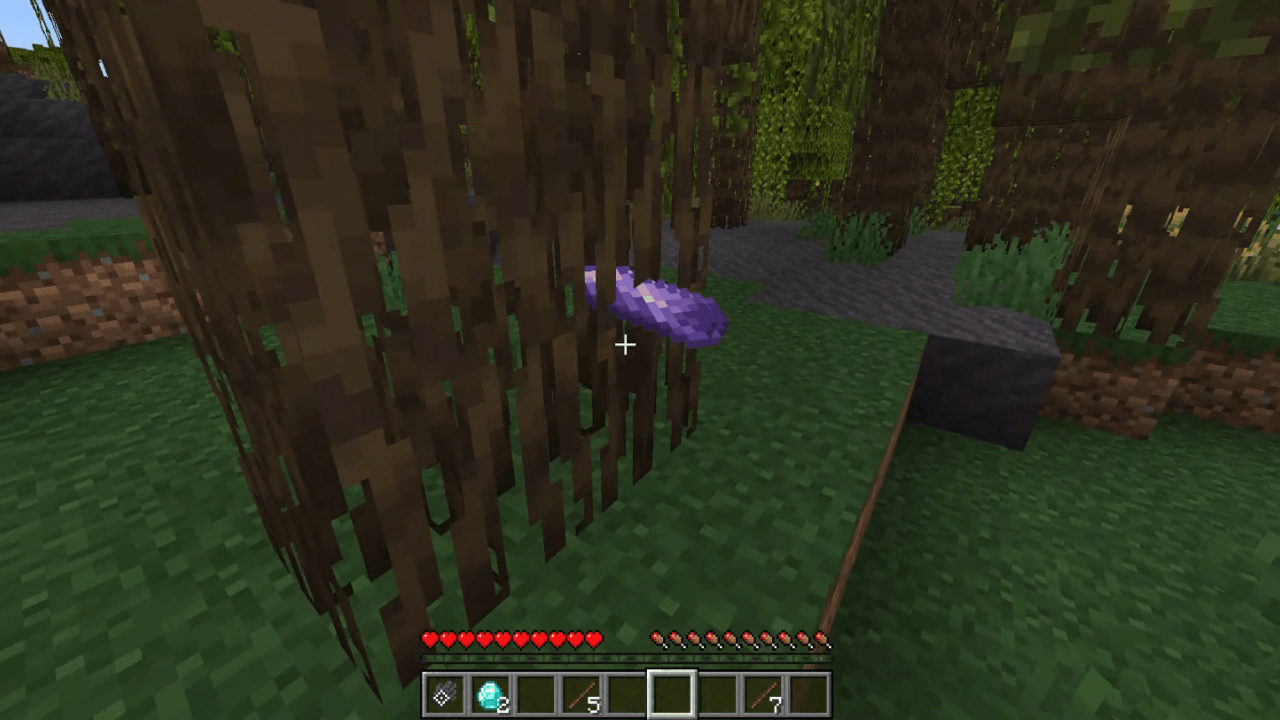 A thrown amethyst shard “stuck” in the wall,