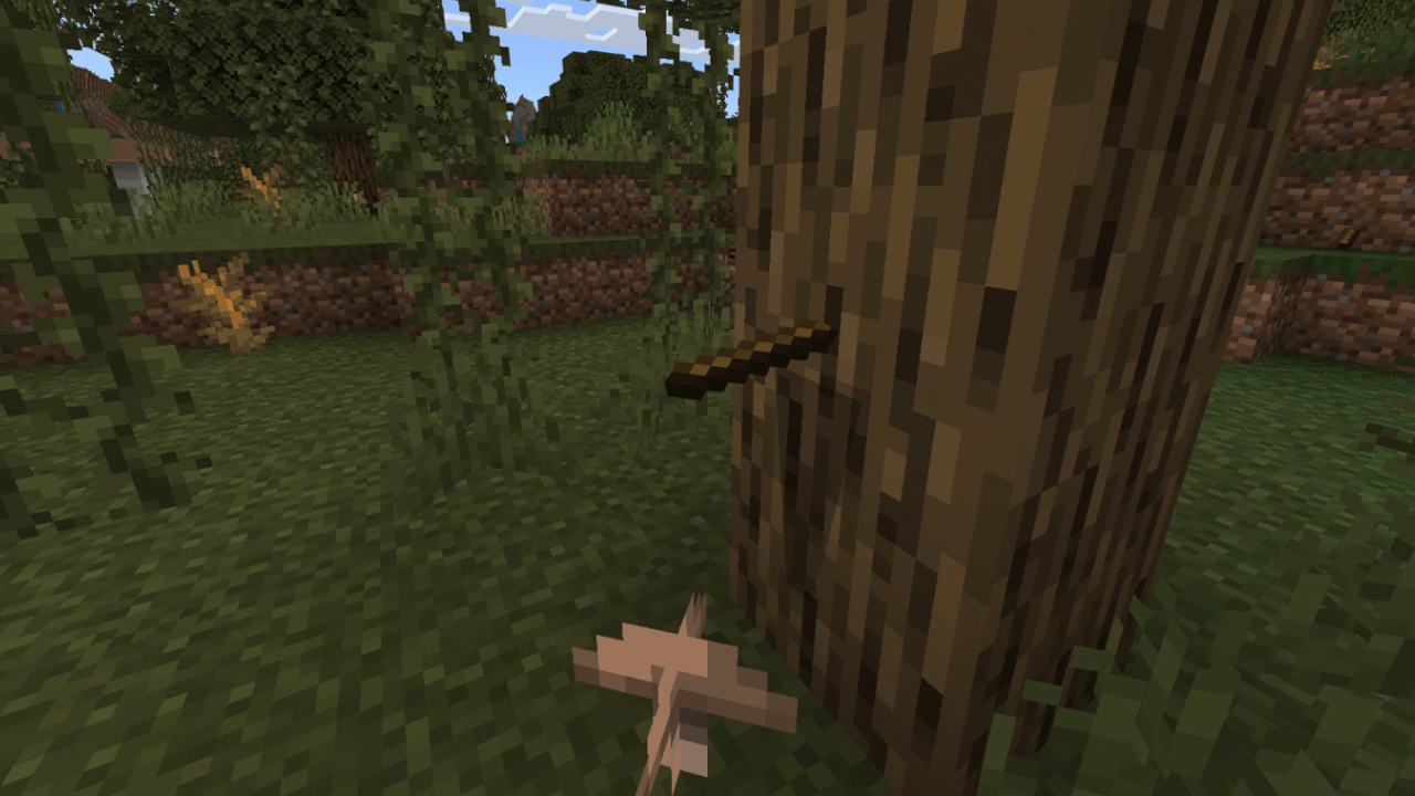 A thrown stick “stuck” in a tree,