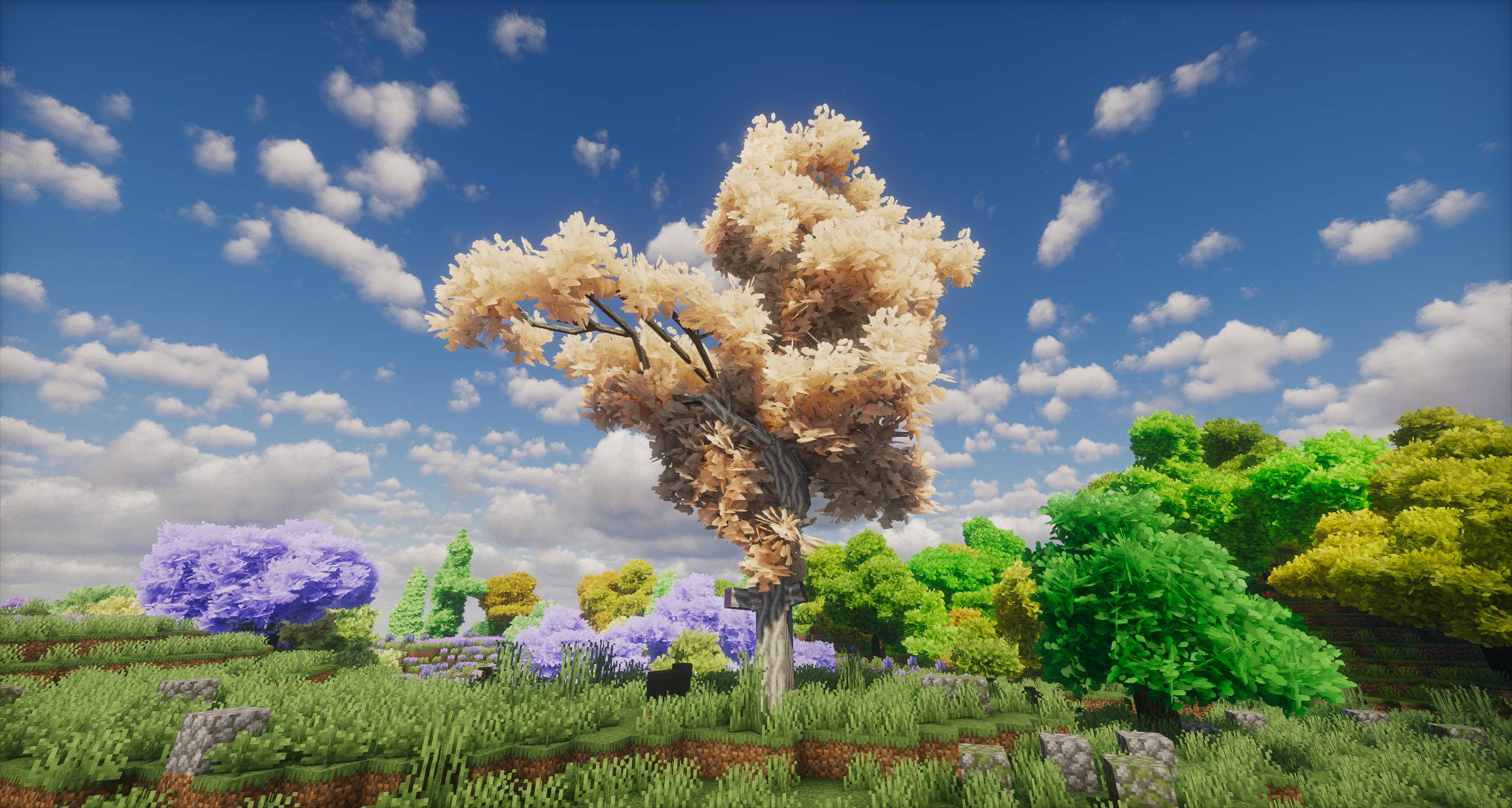 A BoP tree