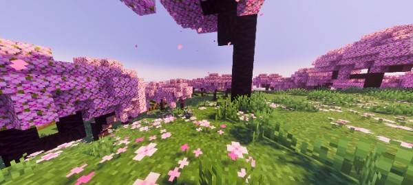 Nivox Visuals — screenshot 4