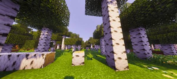 Nivox Visuals — screenshot 5