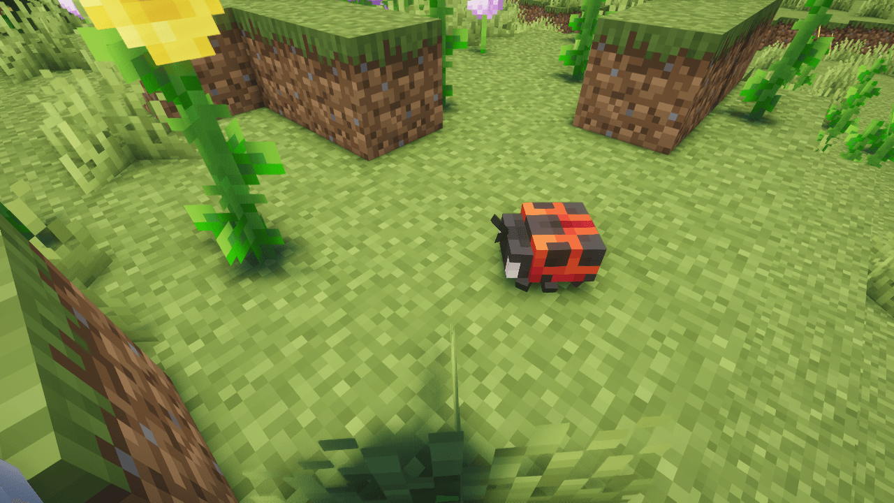 2026-08-25_14.22.05.png