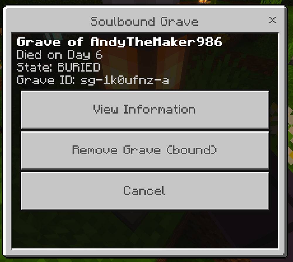 The protected Soulbound Grave management form showing the grave owner, death day, bound state, grave identity, information button, and disabled removal action.