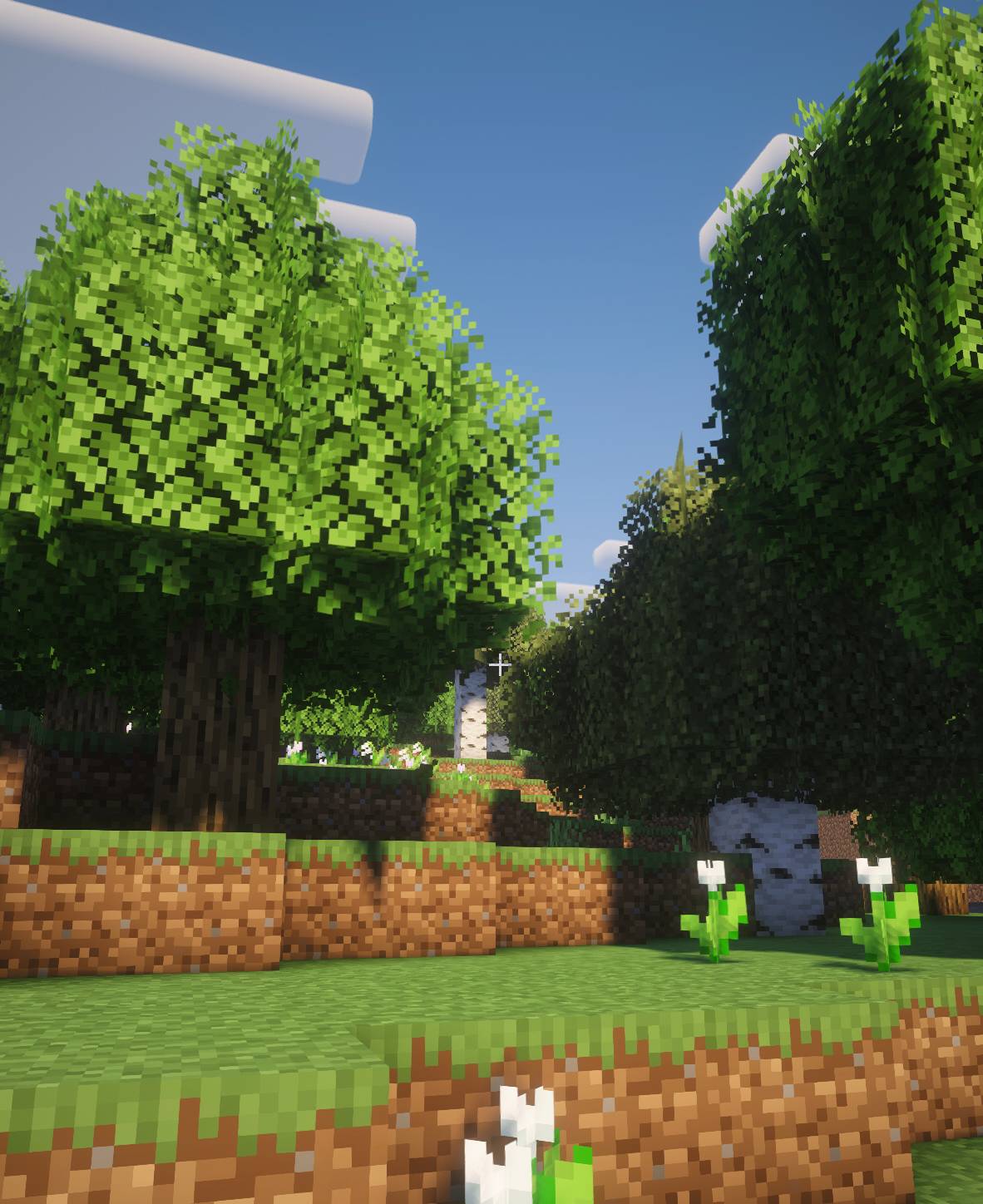 Thumbnail Screenshot 2026-08-26 at 12.25.29â¯PM.jpg