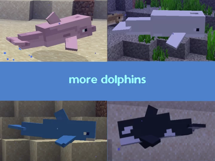 13312193-dolphins_l.webp