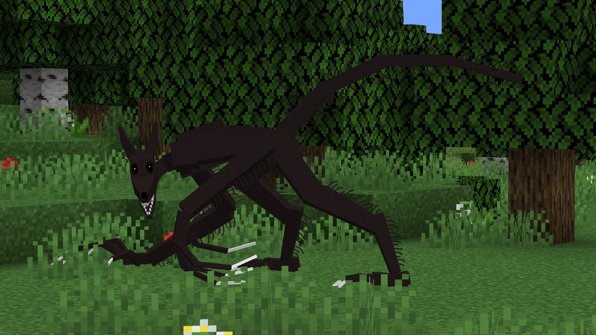 The Wolf Man Spotted