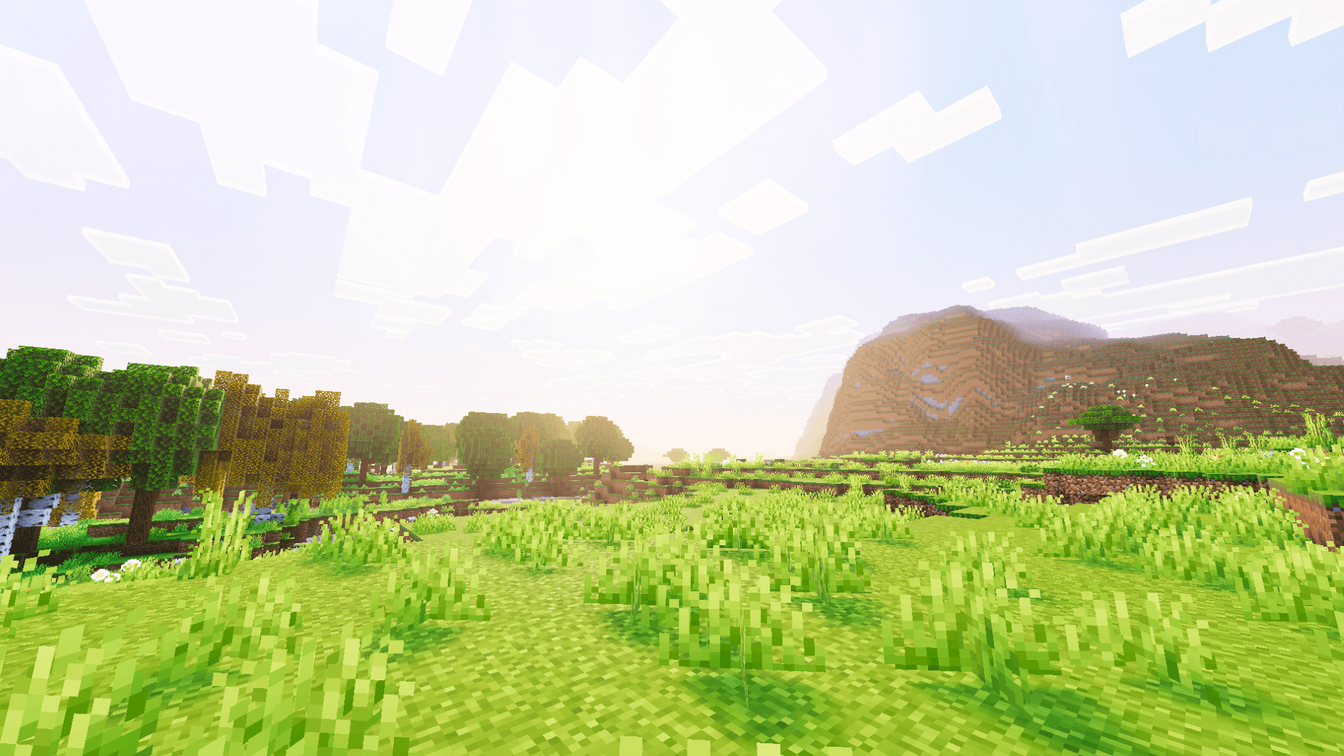 Basic Visuals thumbnail 4