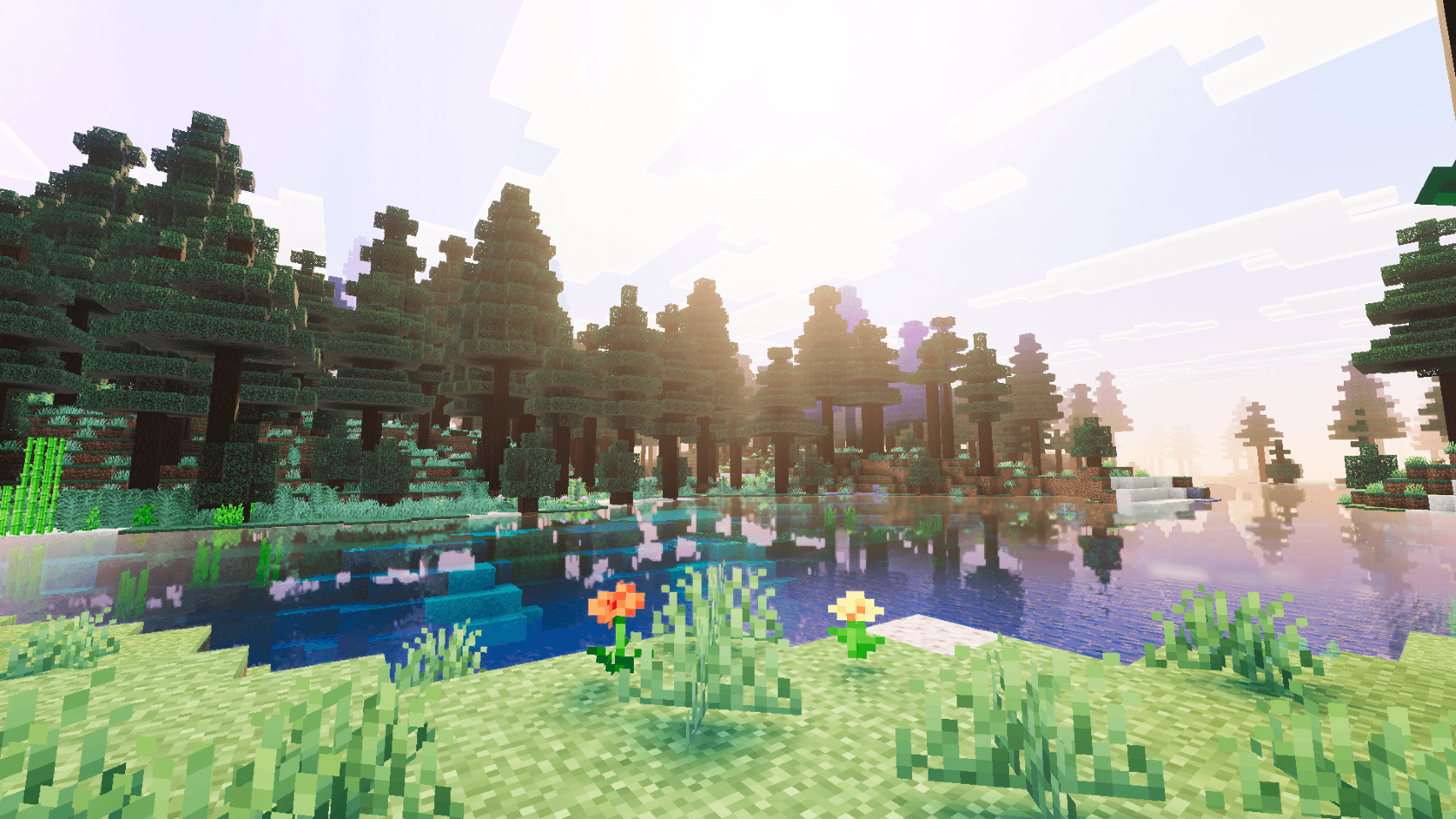 Basic Visuals thumbnail 2