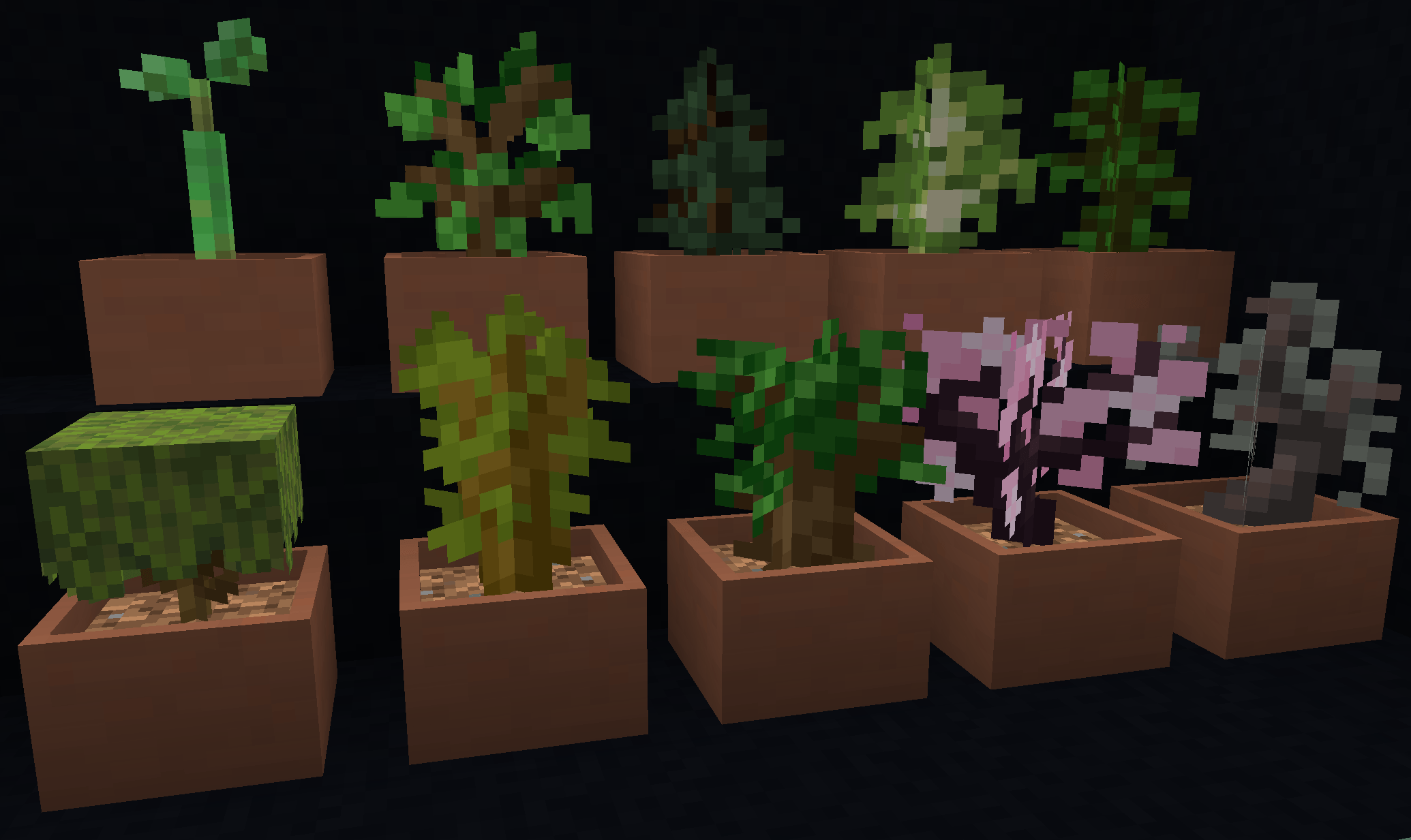 All the new supported saplings in the botany pots