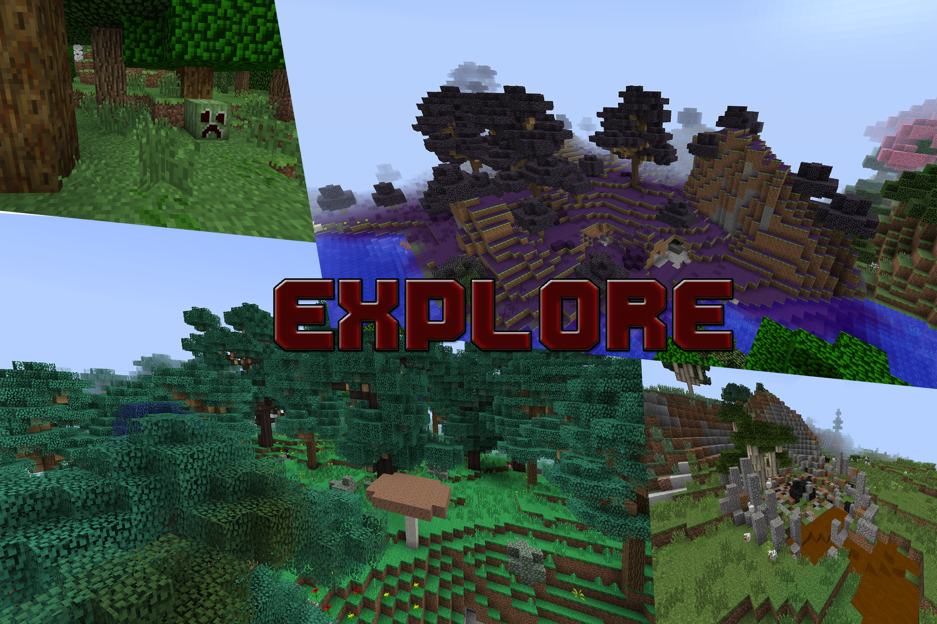 Explores a new and exciting world