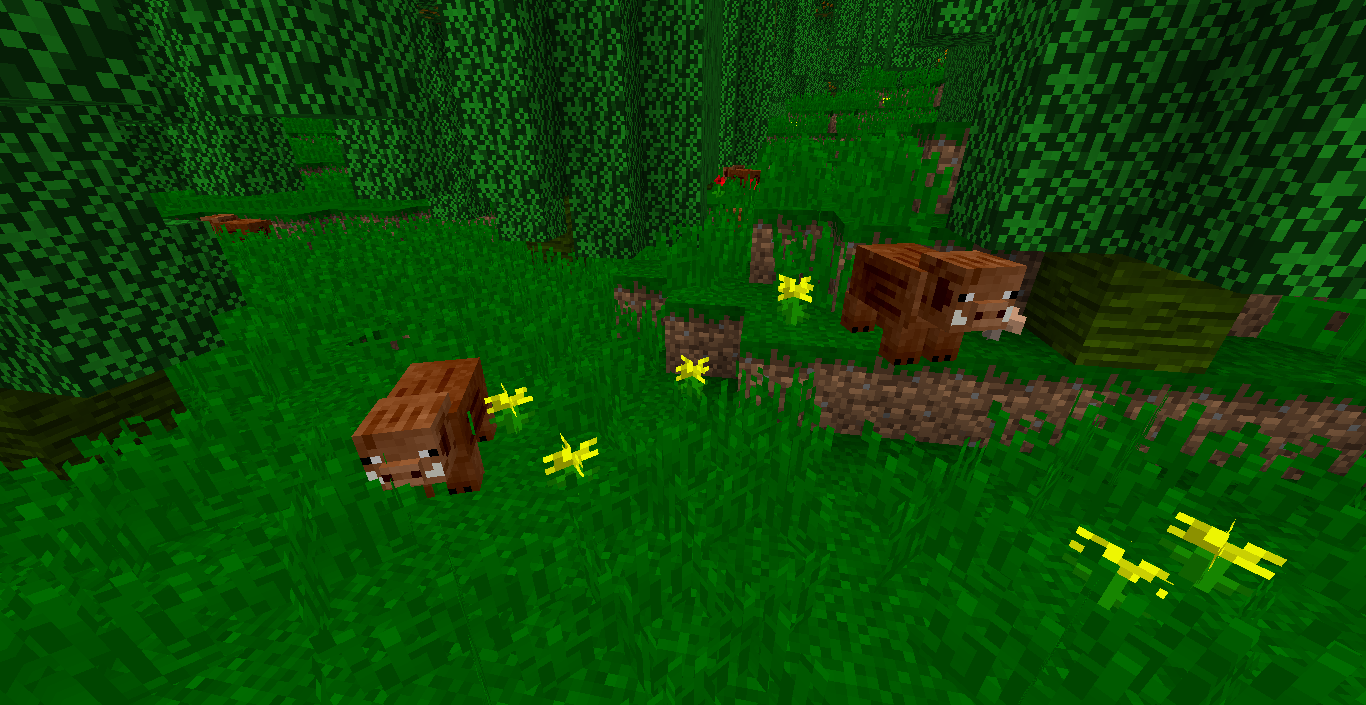 the wild pig spawn in the jikou biome, it can be tamed with beetroot