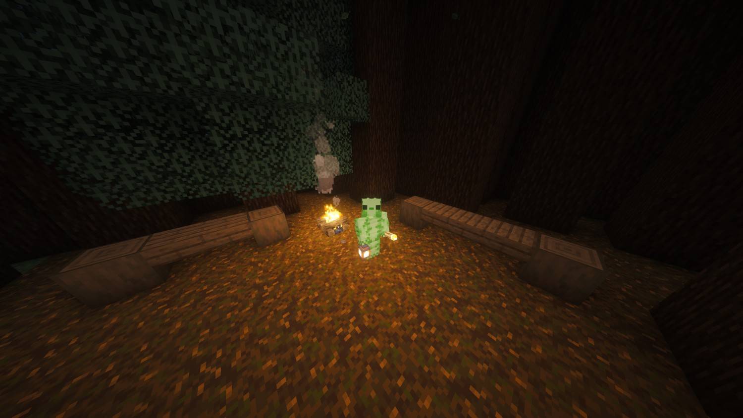 Shows Handheld Torch and Lantern in 3rd Person View