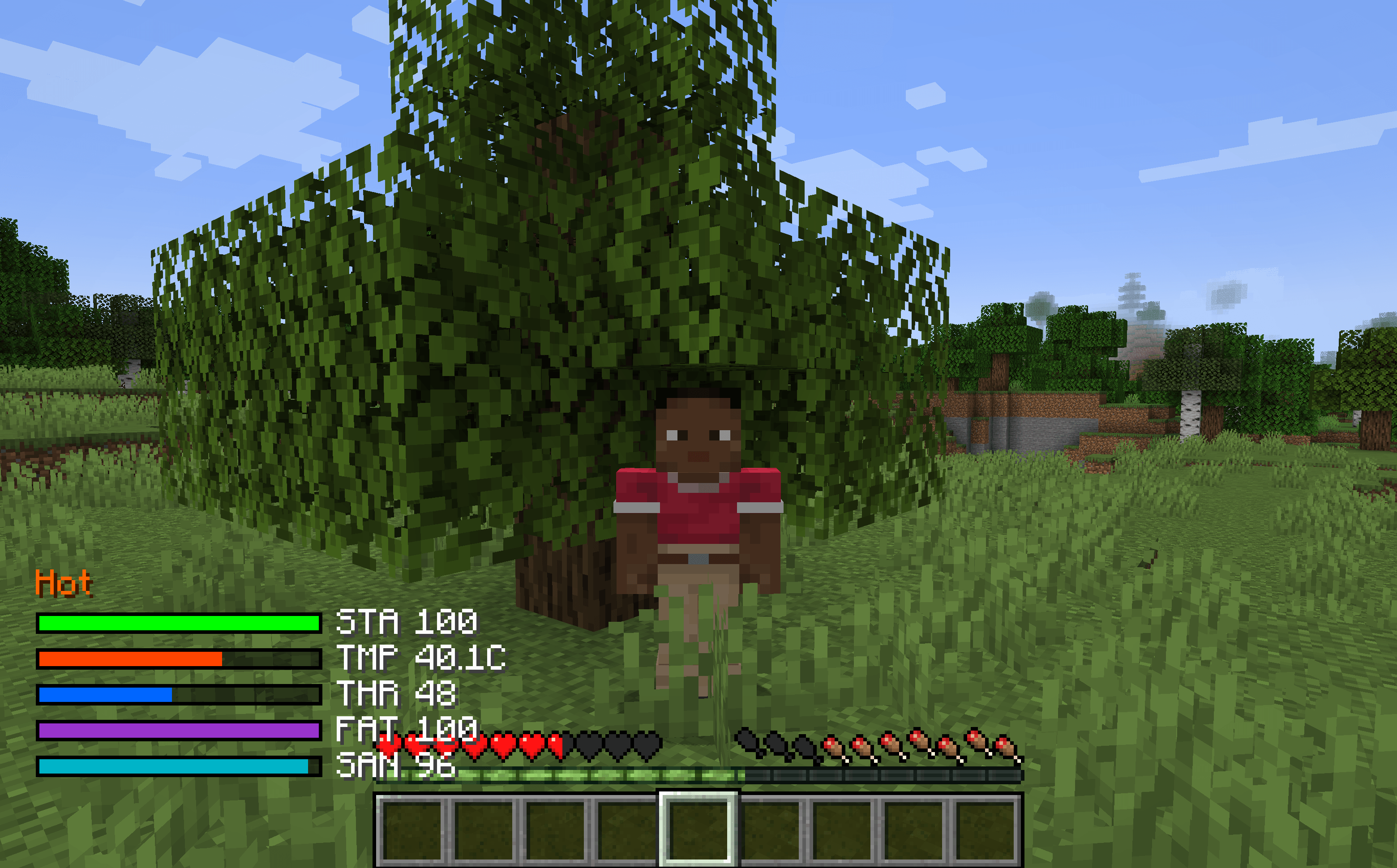 3rd person view