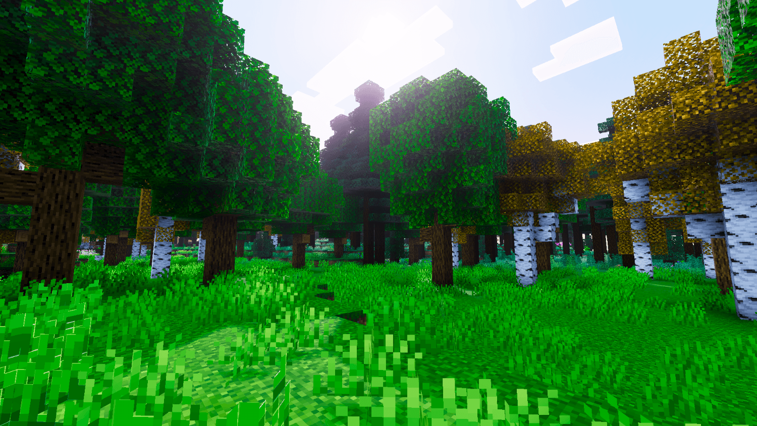 Reze Visuals thumbnail 15
