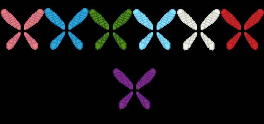 description_3b46f313-2a90-4eb8-9049-81341e75dadf.png