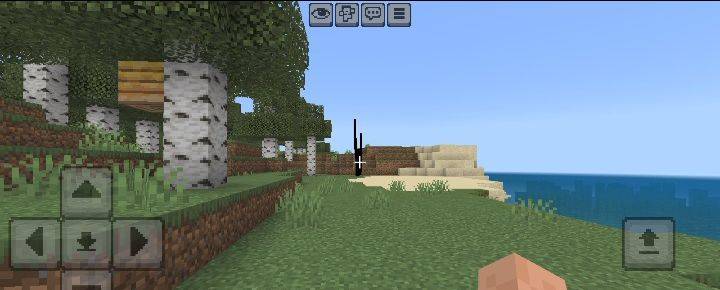 screenshot thumbnail