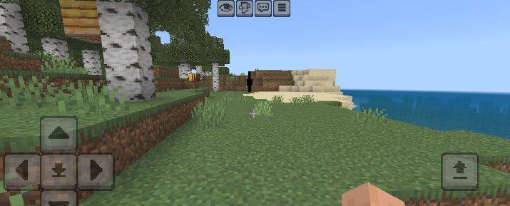 screenshot thumbnail
