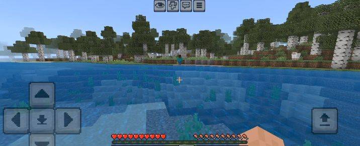 screenshot thumbnail