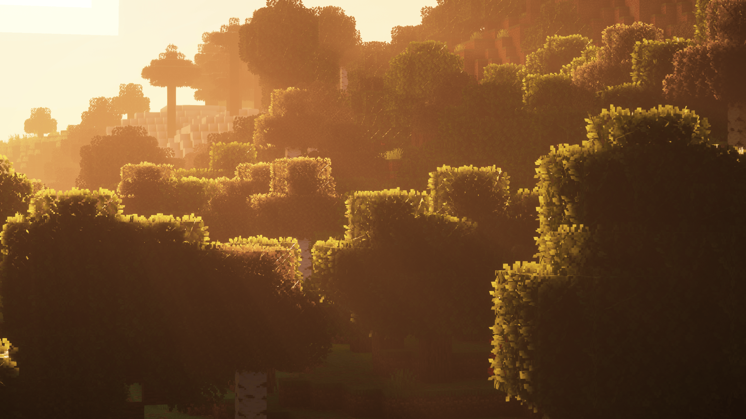 2026-08-10_00.59.09.png