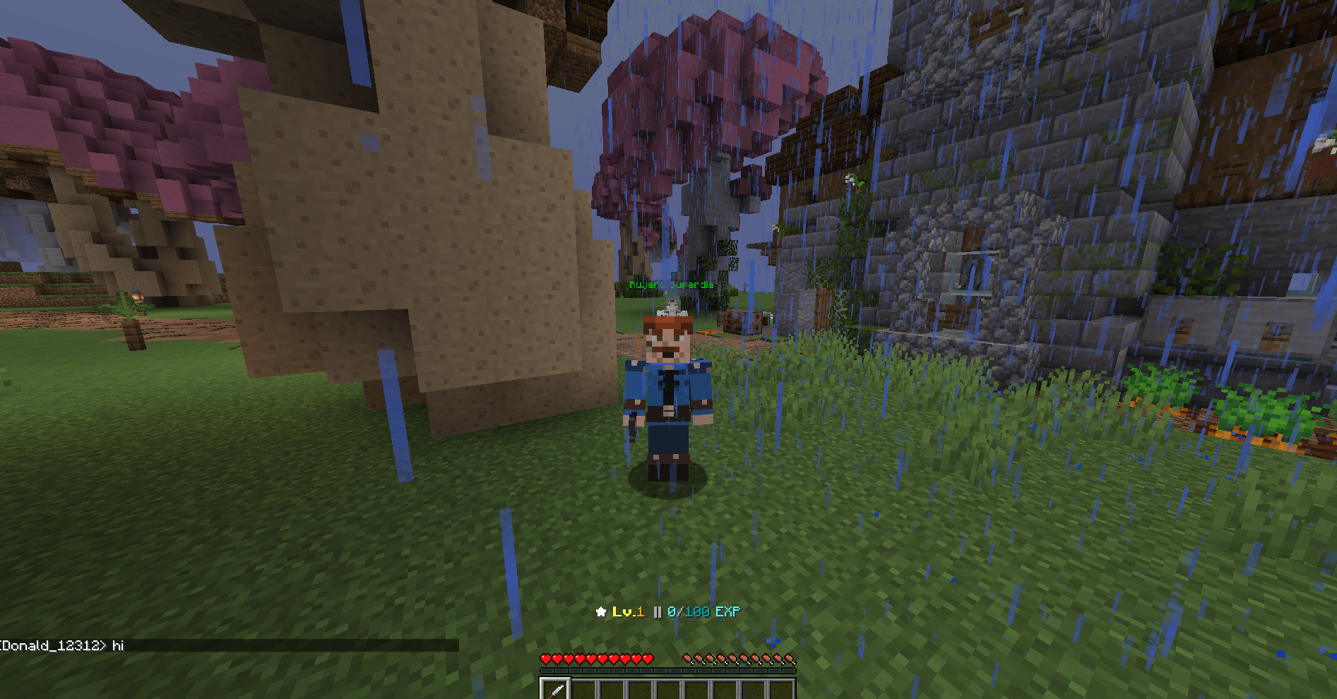 Finished custom character standing in a Minecraft world