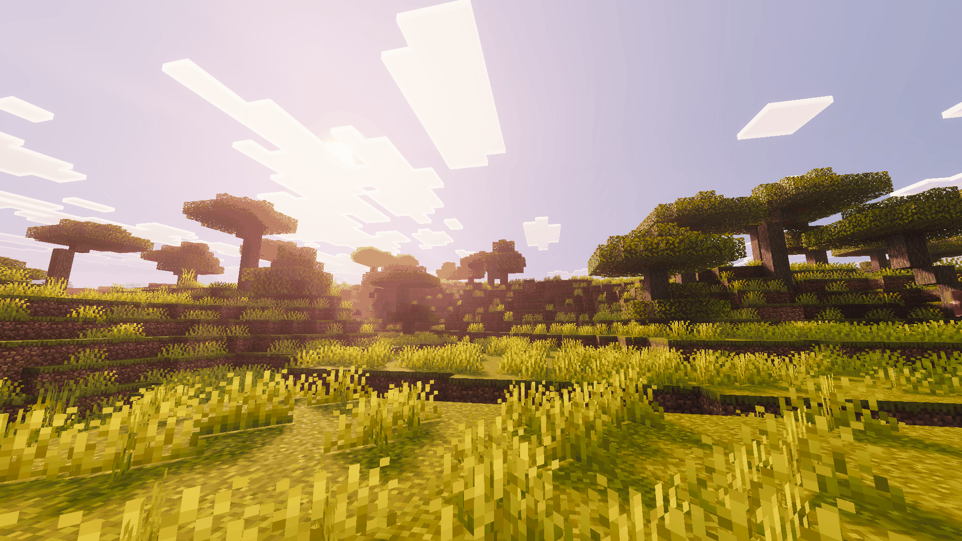 Minecraft1.png
