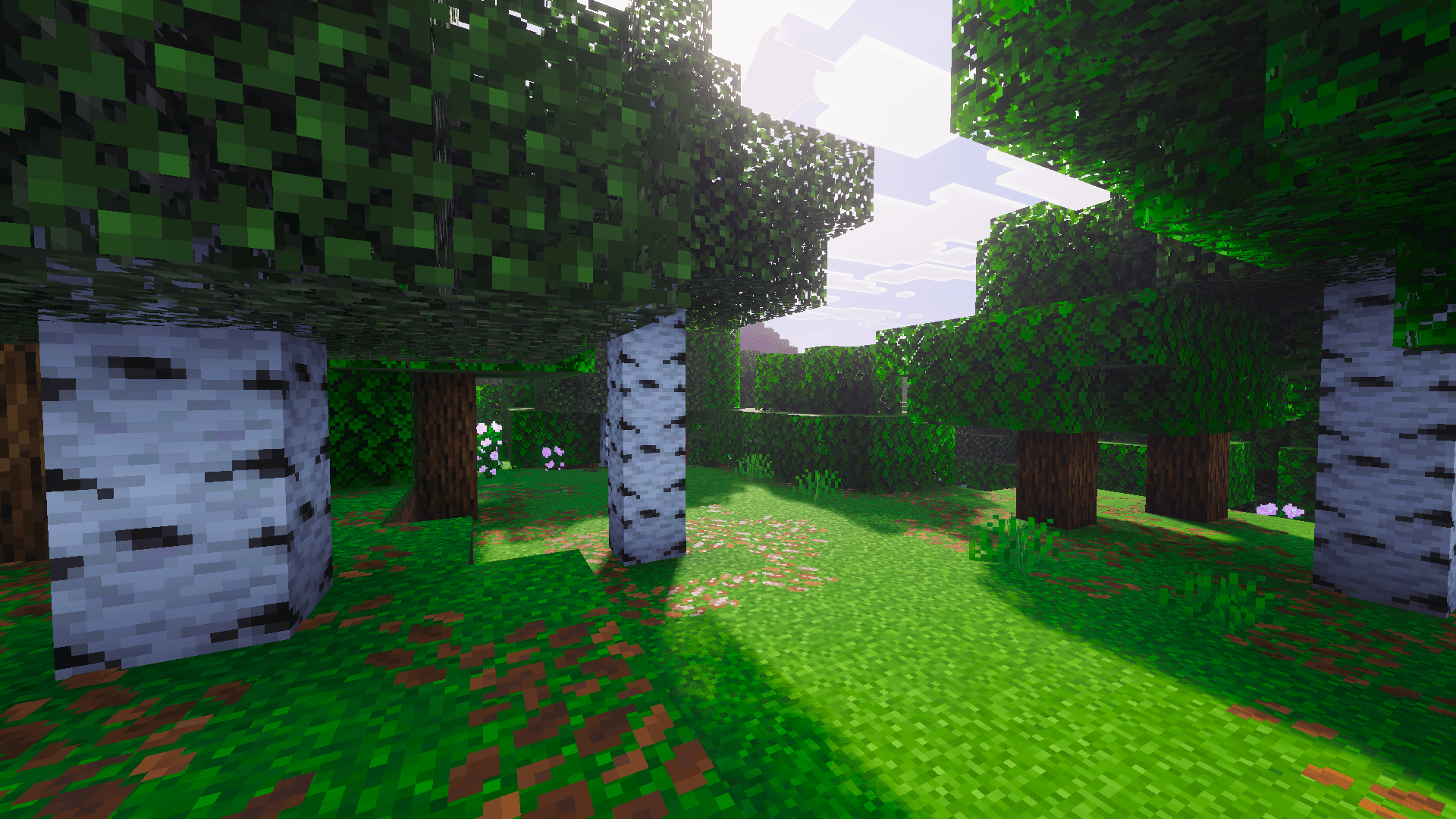 Minecraft4.png