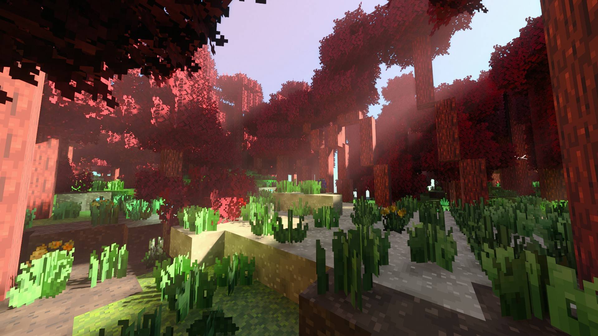 Forgotten Canopy — screenshot 3