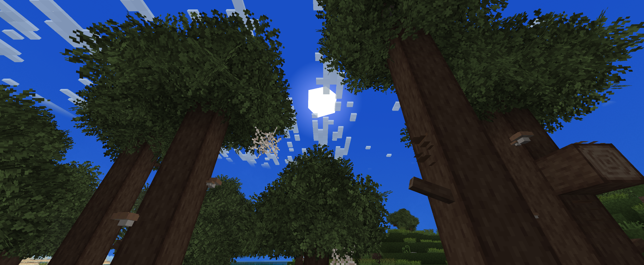 Before