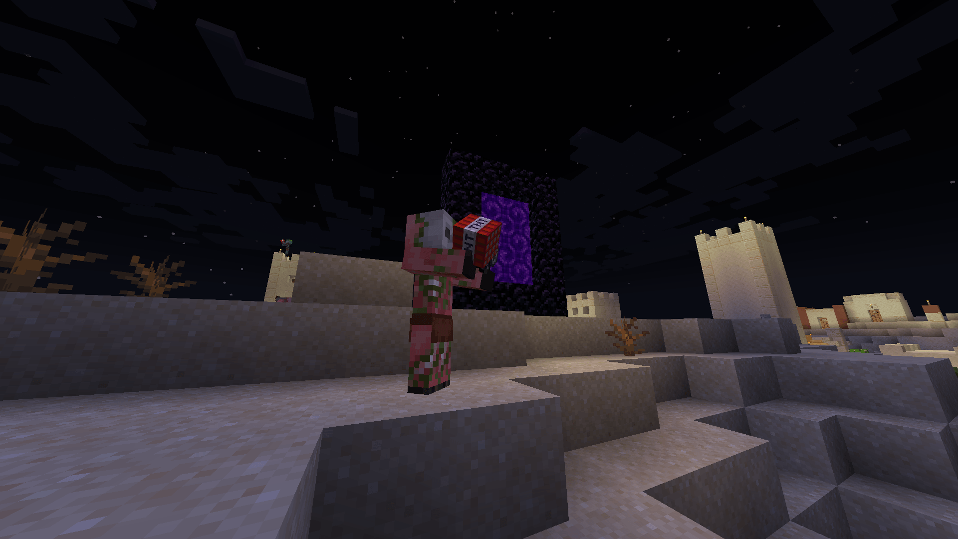 Zombie Piglin With TNT