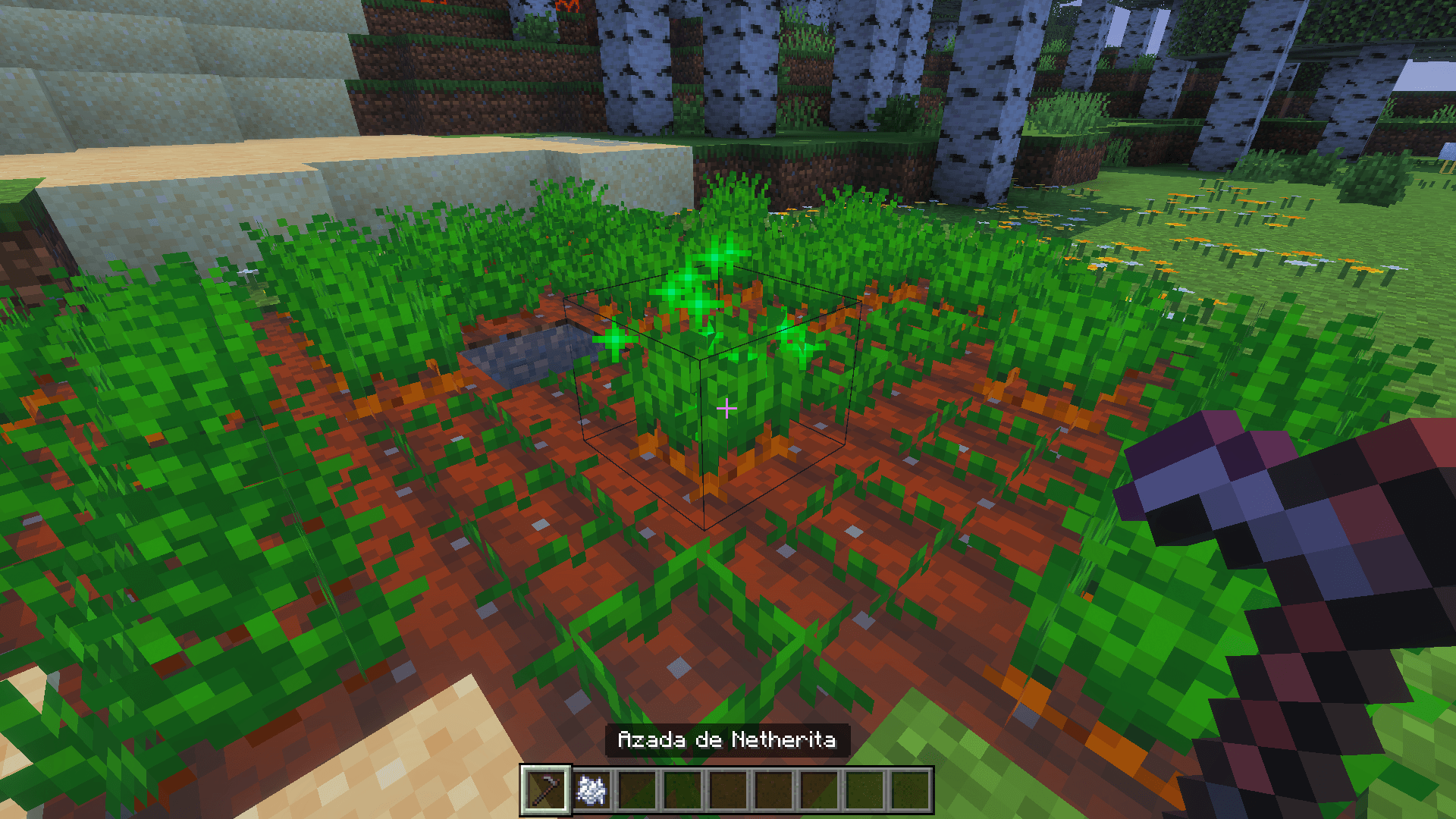 Thumbnail 🇬🇧 Harvest fully grown crops instantly without breaking or replanting them. They automatically start growing again.
🇪🇸 Cosecha cultivos maduros sin romperlos ni replantarlos. Automáticamente comienzan a crecer de nuevo.