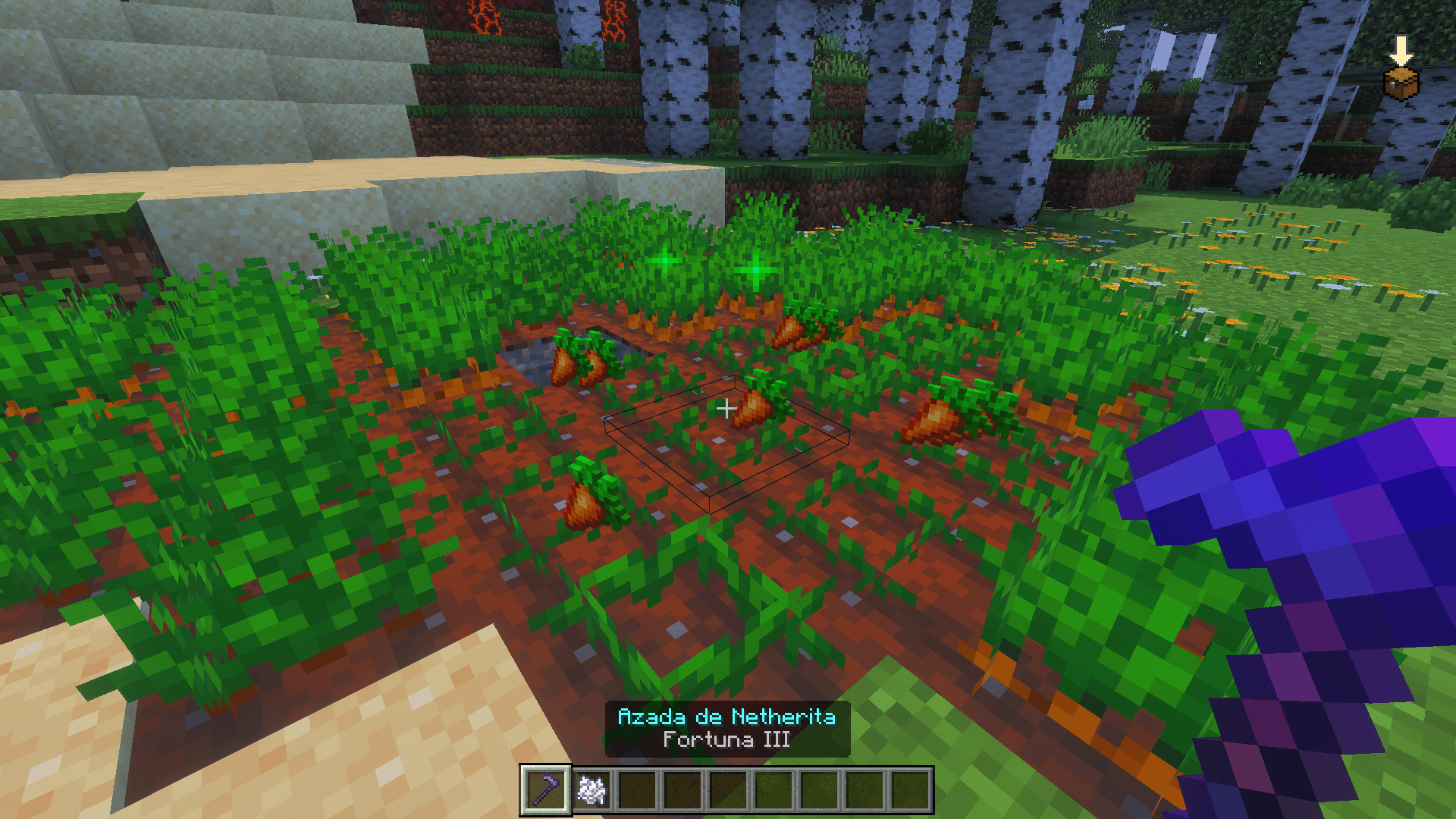 Thumbnail 🇬🇧 Use Fortune-enchanted tools to increase the amount of crops harvested.
🇪🇸 Usa herramientas con Fortuna para aumentar la cantidad de cultivos obtenidos.