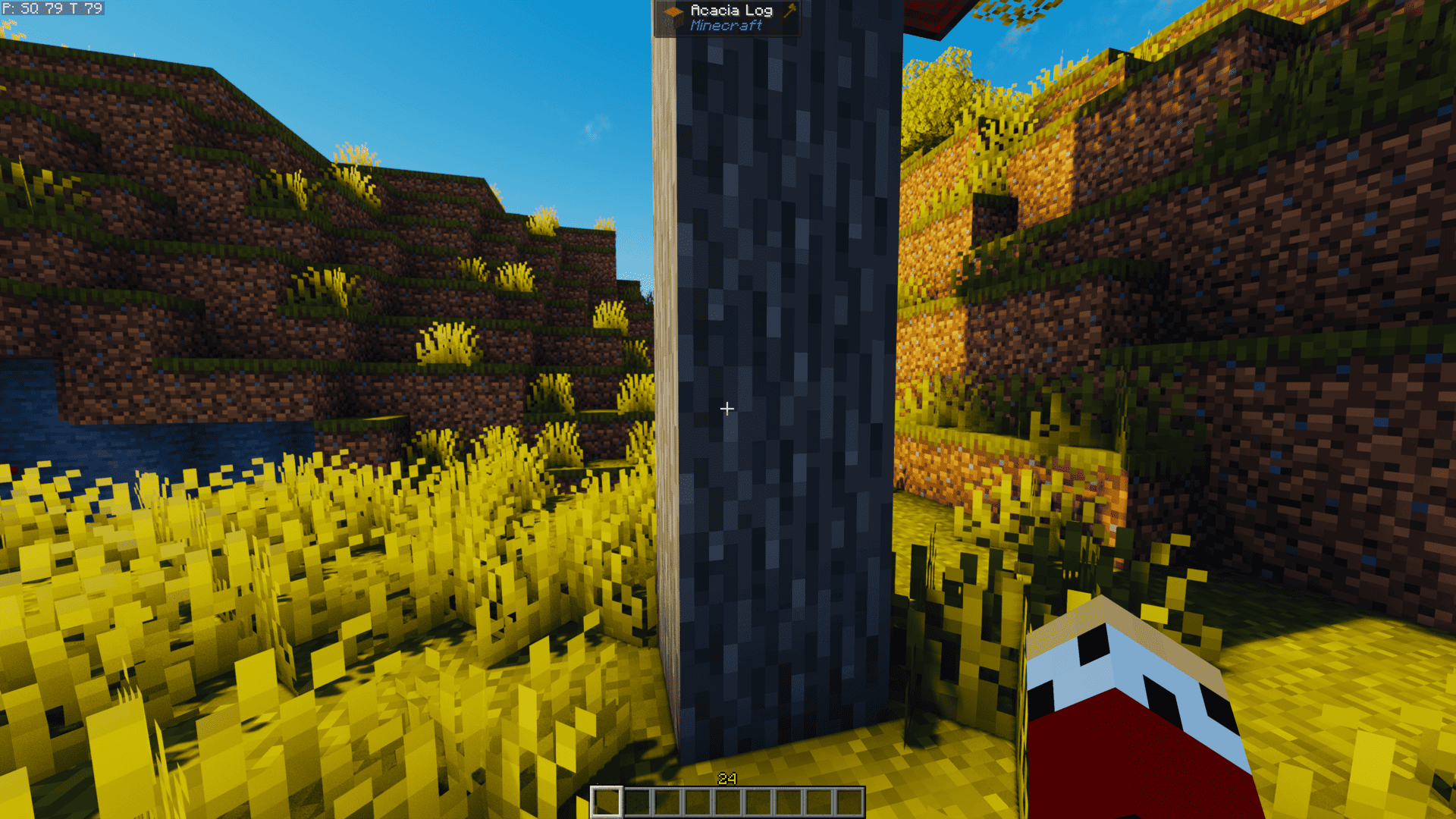 screenshot thumbnail