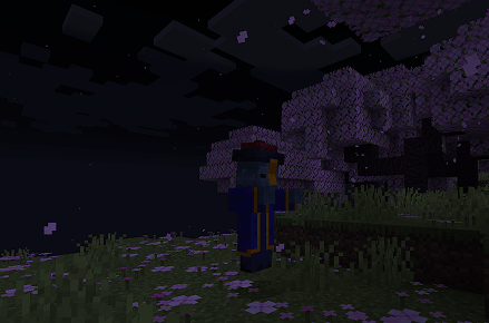 image 10.png