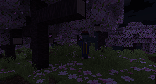 image 3.png