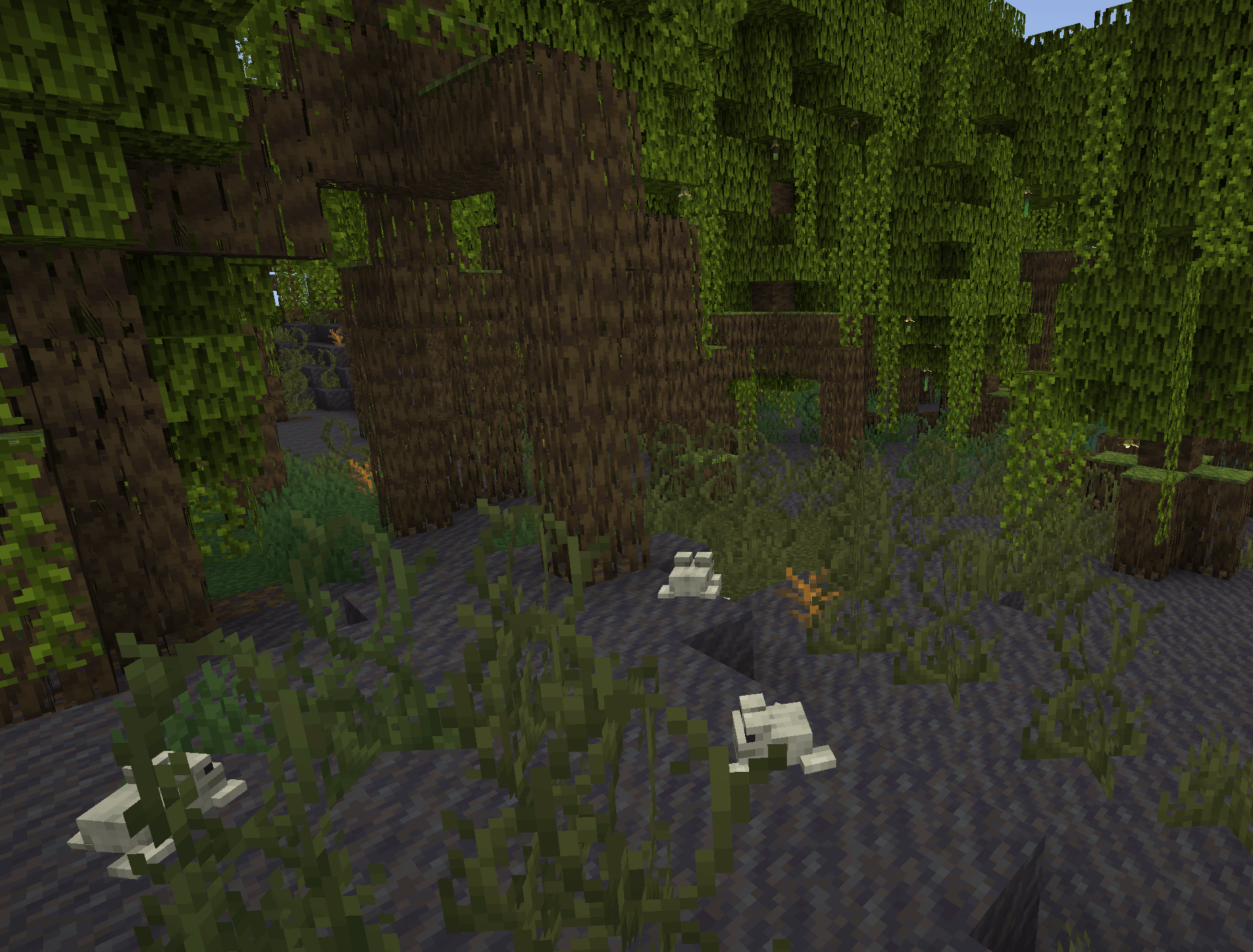 Thumbnail mangrove_swamp.png